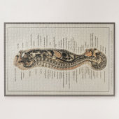 ヴィンテージアンティーク医学解剖解剖図 ジグソーパズル (横)