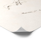 ヴィンテージアンティーク医学骨格解剖図 ポスター (角)