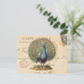 ヴィンテージアンティーク孔雀はがき ポストカード (スタンド正面)