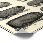 ヴィンテージアンティーク家畜 ポスター (角)