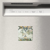 ヴィンテージアンティーク旧世界地図バイピエーター・ゴス， 1666 マグネット (インサイチュ (食洗機))