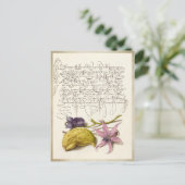 ヴィンテージアンティーク書道植物学イラストレーション シーズンポストカード (スタンド正面)