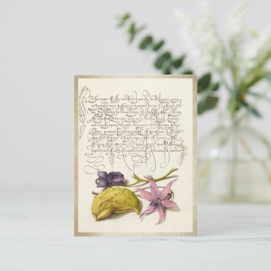 ヴィンテージアンティーク植物イラストレーション ポストカード (スタンド正面)