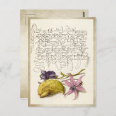 ヴィンテージアンティーク植物イラストレーション ポストカード (正面/裏面)