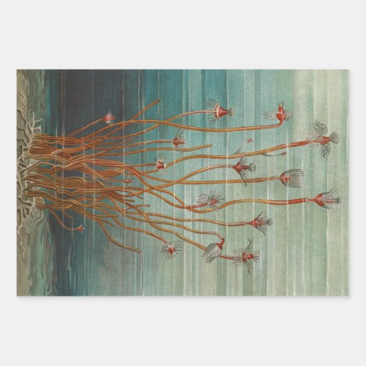 ヴィンテージアンティーク自然フラワーズレインフォレスト ラッピングペーパーシート (正面2)