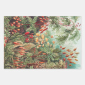 ヴィンテージアンティーク自然フラワーズレインフォレスト ラッピングペーパーシート (正面)