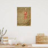 ヴィンテージアンティーク解剖学的解剖学的図 ポスター (キッチン)