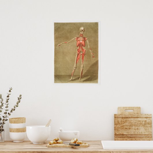 ヴィンテージアンティーク解剖学的解剖学的図 ポスター (キッチン)