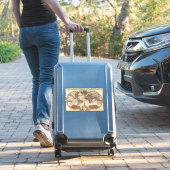 ヴィンテージアンティーク1691サンソンの世界の地図 シール (スーツケースインサイチュ)