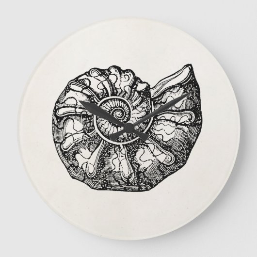 ヴィンテージアンモナイト貝殻化石シェルテンプレート ラージ壁時計 (正面)