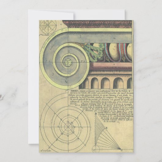 ヴィンテージアーキテクチャ、Capital Volute by Vignola (正面)