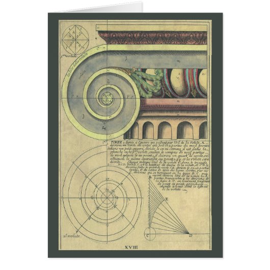 ヴィンテージアーキテクチャ、Capital Volute by Vignola (正面)