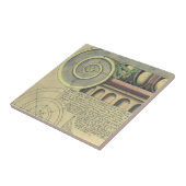 ヴィンテージアーキテクチャ、Capital Volute by Vignola タイル (側面)