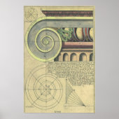 ヴィンテージアーキテクチャ、Capital Volute by Vignola ポスター (正面)