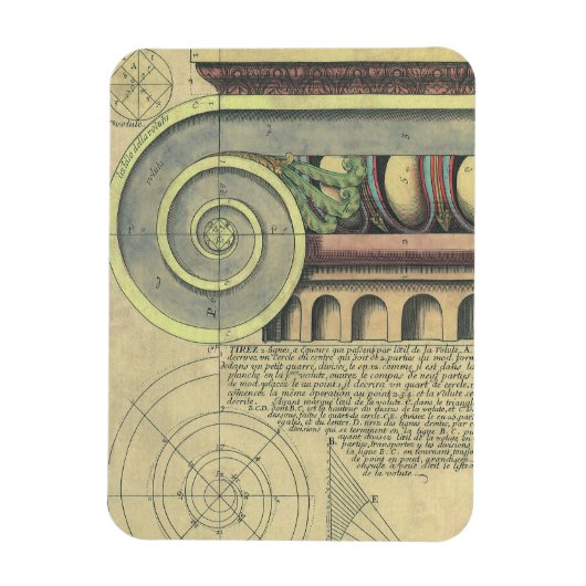 ヴィンテージアーキテクチャ、Capital Volute by Vignola マグネット (縦)