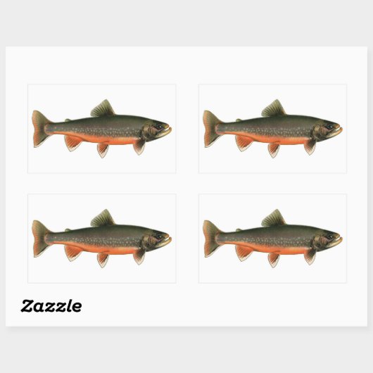 ヴィンテージアークティックチャーイラストレーション – オスの繁殖 長方形シール (シート)