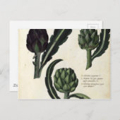 ヴィンテージアーティチョーク植物性プリント ポストカード (正面/裏面)