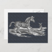 ヴィンテージアートのシマウマと子馬の野生動物ポストカード ポストカード (正面/裏面)