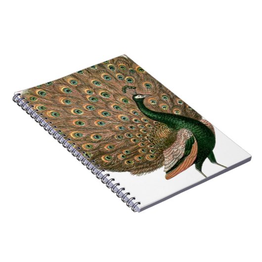 ヴィンテージアートのピーフクロウは緑色の金ゴールドを羽毛にする ノートブック (右側)