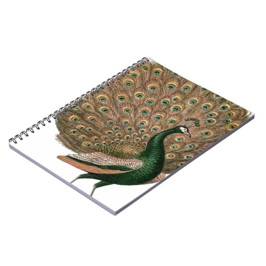 ヴィンテージアートのピーフクロウは緑色の金ゴールドを羽毛にする ノートブック (左側)