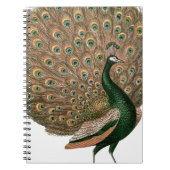 ヴィンテージアートのピーフクロウは緑色の金ゴールドを羽毛にする ノートブック (正面)