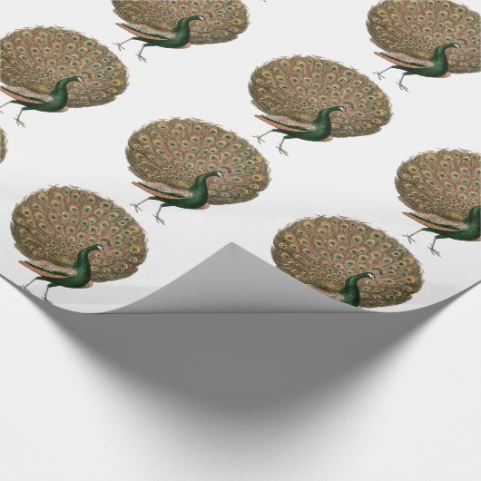 ヴィンテージアートのピーフクロウは緑色の金ゴールドを羽毛にする ラッピングペーパー (角)