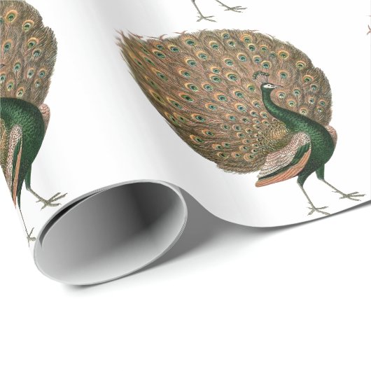 ヴィンテージアートのピーフクロウは緑色の金ゴールドを羽毛にする ラッピングペーパー (ロールコーナー)