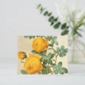 ヴィンテージアートイエローローズポストカード ポストカード (スタンド正面)