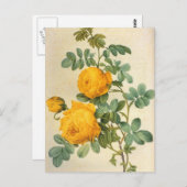 ヴィンテージアートイエローローズポストカード ポストカード (正面/裏面)