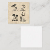 ヴィンテージアートイラストレーション ノートカード (正面/裏面)