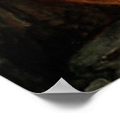 ヴィンテージアートジョンウィリアムウォーターハウスサイチェ ポスター (角)