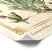 ヴィンテージアートハーブラベンダーフラワーボタニカル ポスター (角)