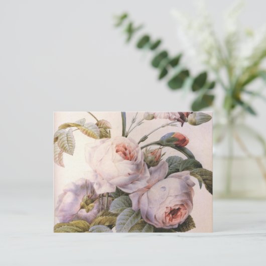 ヴィンテージアートバラカーネーション花はがき ポストカード (スタンド正面)