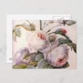 ヴィンテージアートバラカーネーション花はがき ポストカード (正面/裏面)