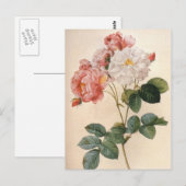 ヴィンテージアートピンクローズフラワーポストカード ポストカード (正面/裏面)