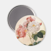 ヴィンテージアートピンクローズフラワー冷凍機磁石 マグネット (正面/裏面)