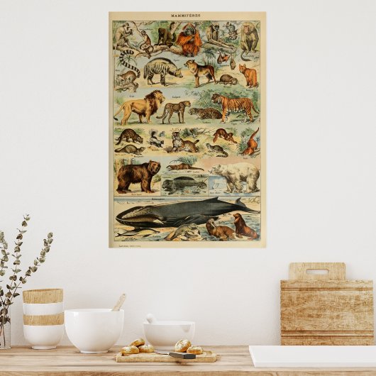 ヴィンテージアートフランスのウォールアートポスター ポスター (キッチン)