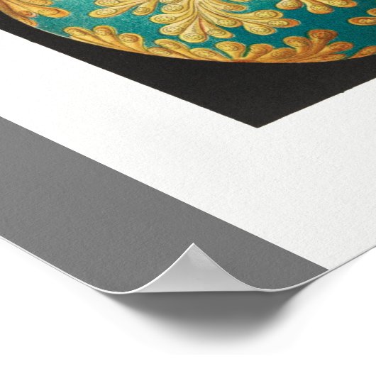 ヴィンテージアートプリント（アシディエ）美しい海洋生物 ポスター (角)