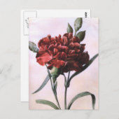 ヴィンテージアートレッドカーネーション花はがき ポストカード (正面/裏面)