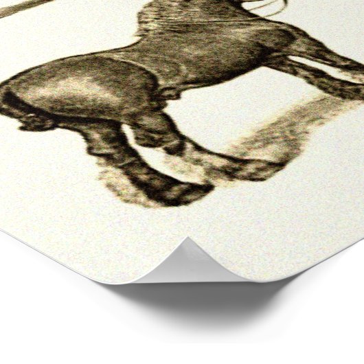 ヴィンテージアート馬の品種グラフ印刷されたポスター壁 ポスター (角)