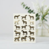 ヴィンテージアート馬の品種グラフ印刷はがき ポストカード (スタンド正面)