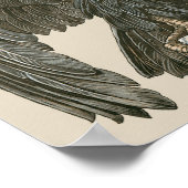 ヴィンテージアールヌーボーイーグル ポスター (角)