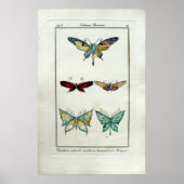 ヴィンテージアールヌーボーバタフライジュエリーバイモルガン ポスター (正面)