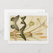 ヴィンテージアールヌーボー蝶とカタテール ポストカード (正面/裏面)