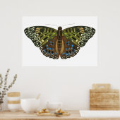 ヴィンテージアールヌーボー蝶 ポスター (キッチン)