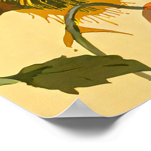 ヴィンテージアールヌーボー1896クジャク模様 ポスター (角)