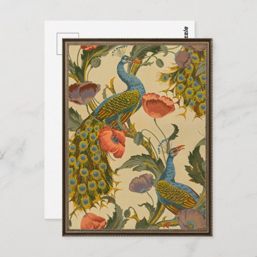 ヴィンテージアールヌーボー1896クジャク模様 ポストカード (正面/裏面)