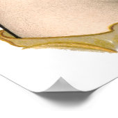 ヴィンテージアールヌーボー1902ドリームランド ポスター (角)