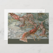 ヴィンテージアールヌーボー、ロブスター海 ポストカード (正面/裏面)