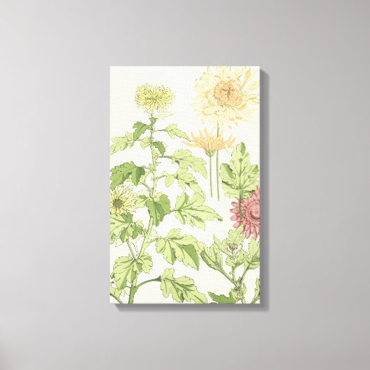 ヴィンテージアールヌーボー、庭の菊 キャンバスプリント (正面)